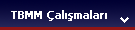 TBMM Çalışmaları