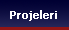 Projeleri