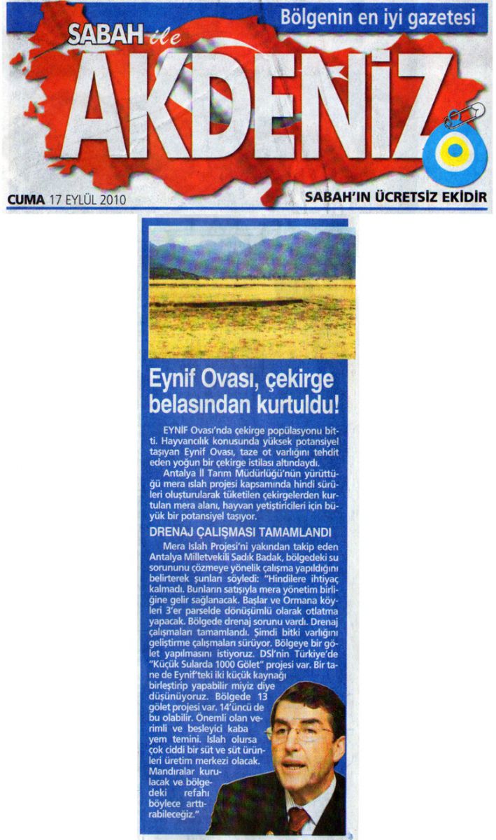 Sabah Akdeniz - Eynif Ovası çekirge belasından kurtuldu - 17 Eylül 2010